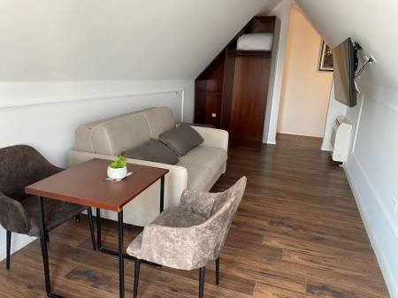 Hotel Vila Zeus6